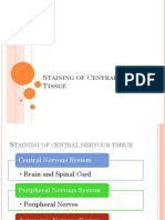 Chapter 20 - Project For Histopath