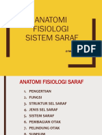 Anfis Saraf 2018