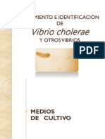 Aislamiento e Identificacion de Vibrio cholerae