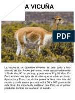 Animales Nativos Del Perú