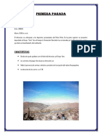 word-de-chapi-1.docx