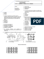 EVALUACION