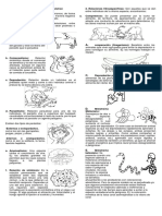 Relaciones entre los organismos.docx