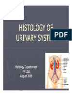 Gus156 Slide Histology of Urinary System PDF