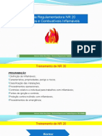 Treinamento NR 20.pdf