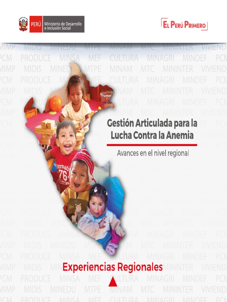 Avances en la Lucha Contra la Anemia | PDF | Organización no ...