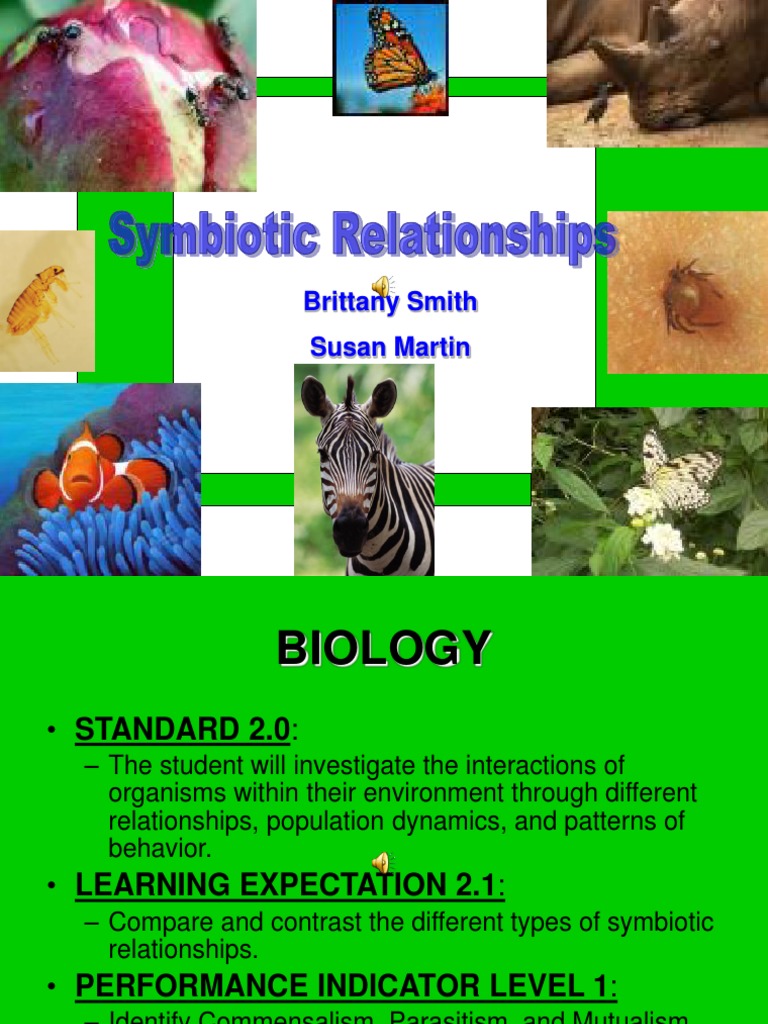 Symbiotic Relationships Explained | PDF | Symbiosis | Biological ...