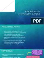 ELECTROLITOS diapositivas.pptx