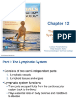 CH 12 Lymphatic-System