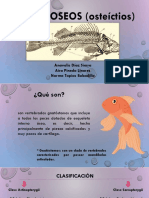 diapositivas peces oseos