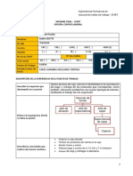 Informe Final Centro Laboral