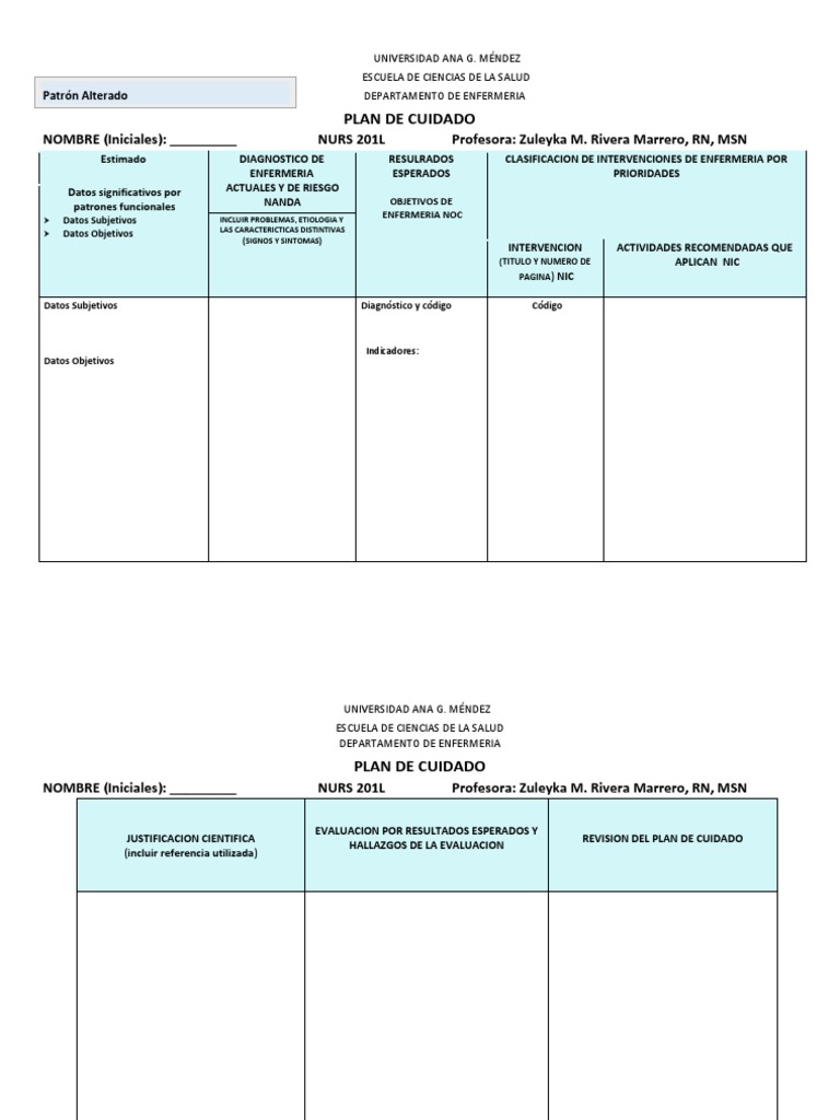 Plan de Cuidado | PDF | Ciencias de la Salud | Cuidado de la salud