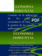 Economia Ambiental 1