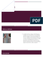 Cavidades Kerly PDF