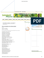Serigne Samba Ndiaye PDF