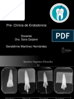 preclinica presentacion.pptx