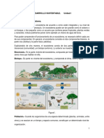 Componentes ecosistema jerarquía interacción