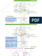 RESUMEN sistemas funcionales-láminas.pdf