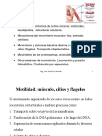 CLASE_Semana 9 Sistema Muscular.MODIFICADOpdf.pdf