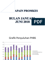 PENCAPAIAN BULAN JUNI PROMKES 2018 New
