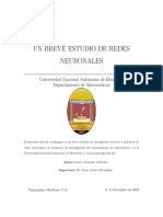 Redes Neuronales PDF