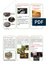 Cómo Evitar La Contaminación Del Suelo PDF