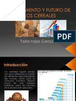 Crecimiento y Futuro de Los Cereales