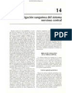 WebPage PDF