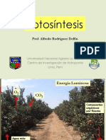 Fotosintesis 2018