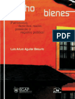 Derecho de Los Bienes Patrimonio, Derechos Reales, Posesión y Re - Nodrm PDF