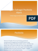 Cengkeh Sebagai Pestisida Alami PPT Fitopatologi