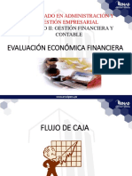 Evaluación Económica Financiera Flujo de Caja