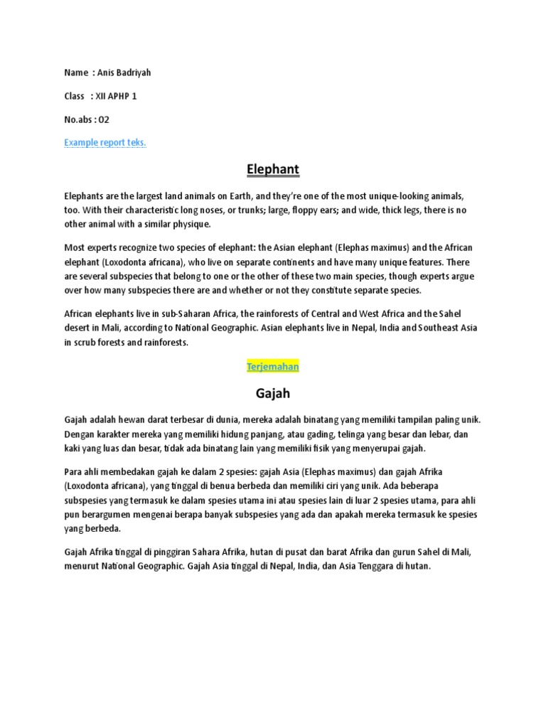 Example Report Text | PDF