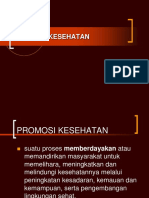 Promosi Kesehatan