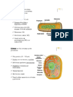 Especialidad Bacterias PDF