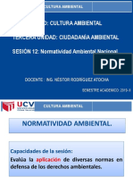 12_SESIÓN_-_NORMATIVIDAD_AMBIENTAL_NACIONAL_2019_II.pdf