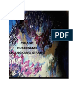 Pedoman Triase Di Puskesmas