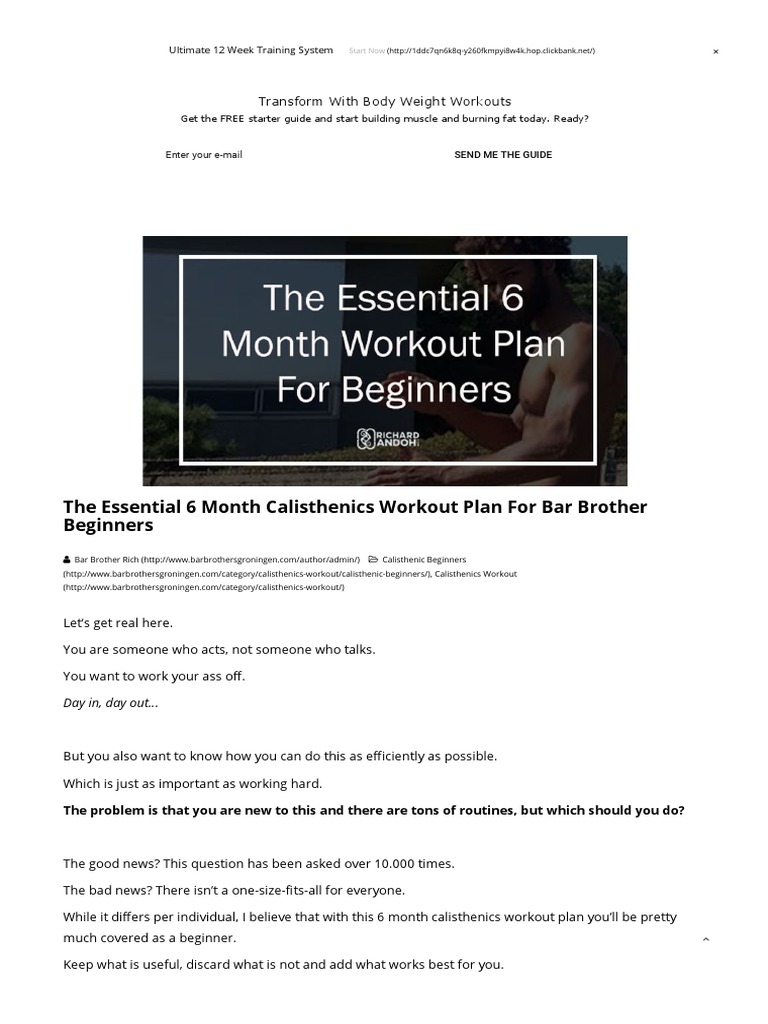 Bar Brothers 12 Week Program Pdf