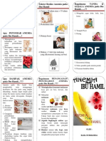 Leaflet Anemia Pada Ibu Hamil.docx