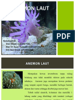 Anemo Laut