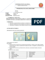 Informe Benalcazar 1B PDF