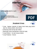 Uveitis Anterior: Penyebab, Gejala, Diagnosis dan Penatalaksanaan