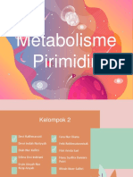 Metabolisme Pirimidin