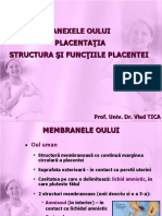 Curs 2 OG Nou - Anexele Oului. Placenta Ti A. Structura Si Functiile Placentei