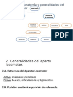 Anatomia Generalidades Del Aparato Locomotor