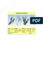 Clasificación de Los Crustáceos