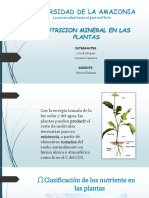 JOSE TRUJILLO - SEMINARIO 2. Nutrición Mineral en Las Plantas PDF