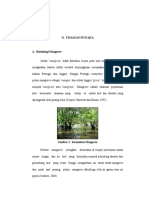 13 Bab Ii PDF