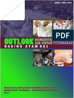 Outlook Daging Ayam Ras 2017-2021