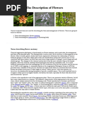 Flower description glossary.pdf